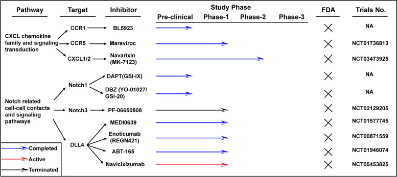 Signaling pathways in colorectal cancer implications for the target therapies.