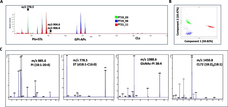 Sulfatide imaging identifies tumor cells in colorectal cancer peritoneal metastases.