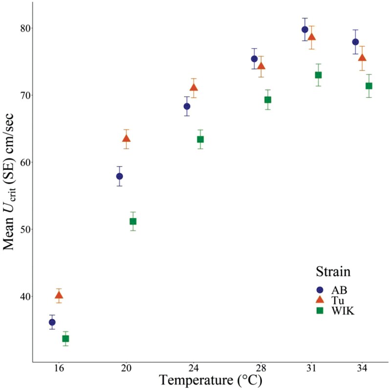 Variability of morphology-performance relationships under acute exposure to different temperatures in 3 strains of zebrafish.