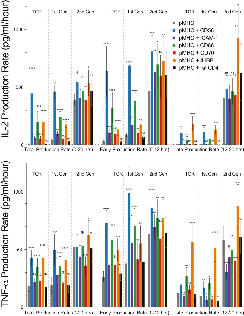 Regulation of temporal cytokine production by co-stimulation receptors in TCR-T cells is lost in CAR-T cells.