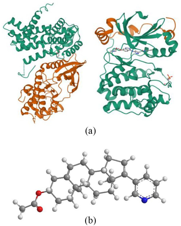 <i>In Silico</i> Study, Protein Kinase Inhibition and Molecular Docking Study of Benzimidazole Derivatives.