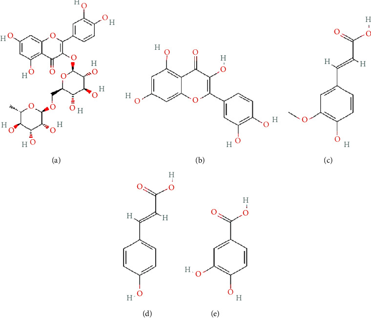 Investigation into the Interaction between Penicillin-Resistant and Penicillin-Susceptible Gonococcal Penicillin-Binding Protein 2 and Target Phenolic Ligands through Molecular Docking Studies and Structure-Activity Relationship Analysis.