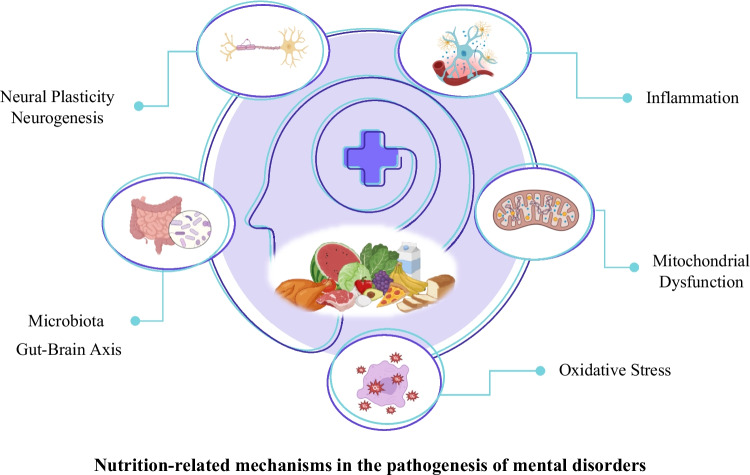 摘要图片