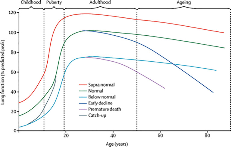 The Impact of Malnutrition on the Developing Lung and Long-Term Lung Health: A Narrative Review of Global Literature.