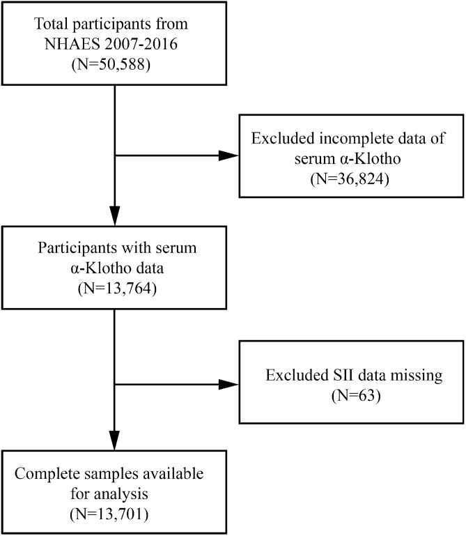 L-shaped association of systemic immune-inflammation index (SII) with serum soluble α-Klotho in the prospective cohort study from the NHANES database.