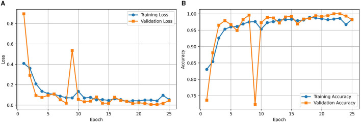 Enhancing brain tumor detection in MRI with a rotation invariant Vision Transformer.