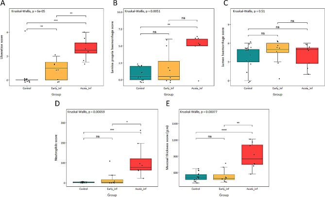 New insights into swine dysentery: faecal shedding, macro and microscopic lesions and biomarkers in early and acute stages of Brachyspira hyodysenteriae infection.