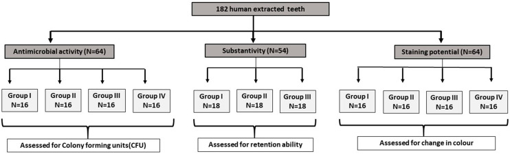 Formulation and assessment of biological properties of garcinia indica fruit extract mouthrinse as an adjunct to oral hygiene regimen: an in vitro analysis.