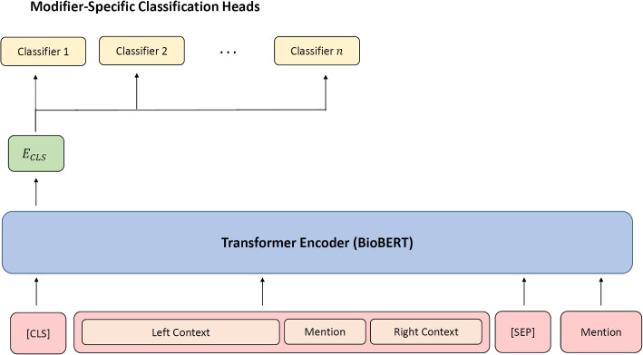 Multi-task transfer learning for the prediction of entity modifiers in clinical text: application to opioid use disorder case detection.