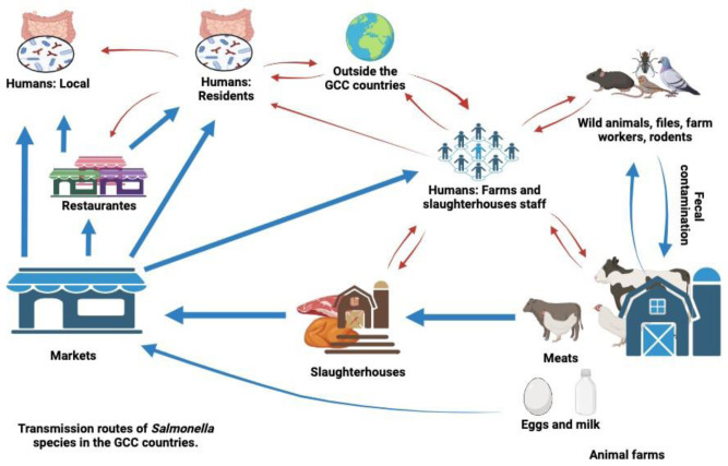 <i>Salmonella</i> in the food chain within the Gulf Cooperation Council countries.