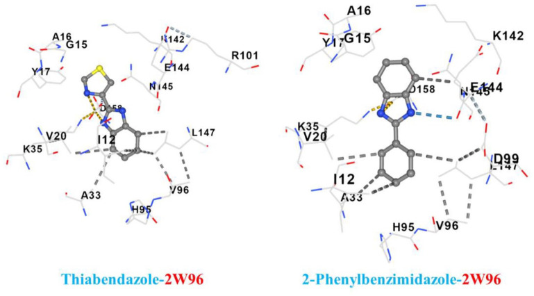 <i>In Silico</i> Study, Protein Kinase Inhibition and Molecular Docking Study of Benzimidazole Derivatives.