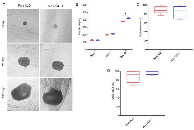 <i>In Vitro</i> Development of Mouse Preantral Follicle with Using Amniotic Membrane Extract-Loaded Hydrogels.