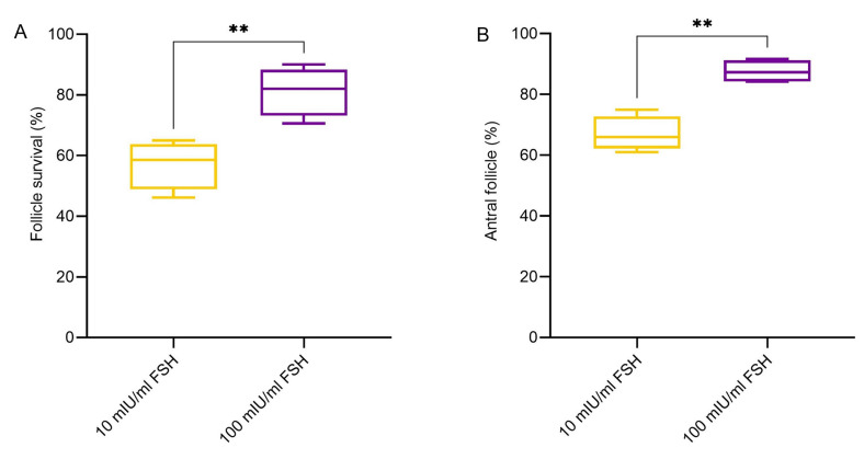 <i>In Vitro</i> Development of Mouse Preantral Follicle with Using Amniotic Membrane Extract-Loaded Hydrogels.