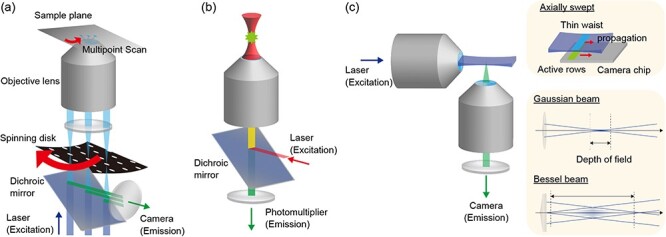 Optical microscopic imaging, manipulation, and analysis methods for morphogenesis research.