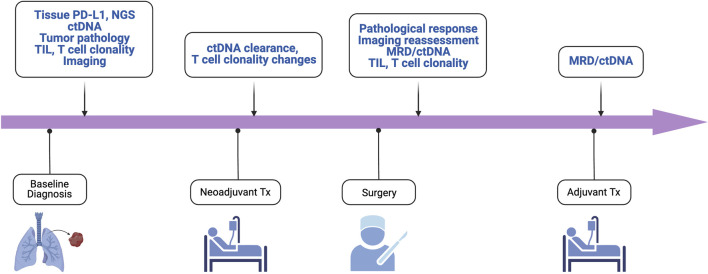 Advancing neoadjuvant therapies in resectable non-small cell lung cancer: implications for novel treatment strategies and biomarker discovery.