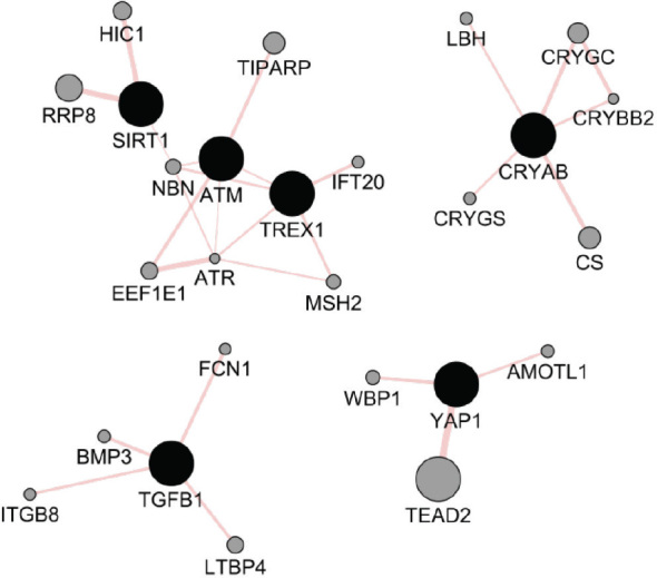 Deciphering the molecular landscape of ionising radiation-induced eye damage with the help of genomic data mining.
