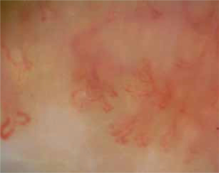 Abstract Image