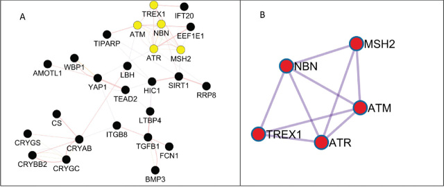 Deciphering the molecular landscape of ionising radiation-induced eye damage with the help of genomic data mining.