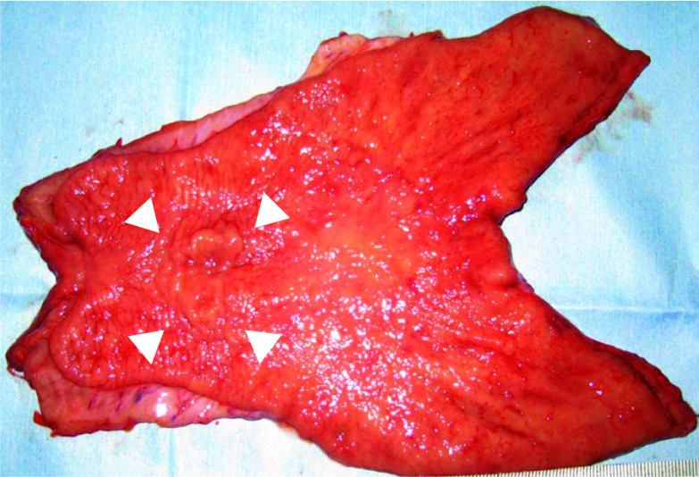 Abstract Image
