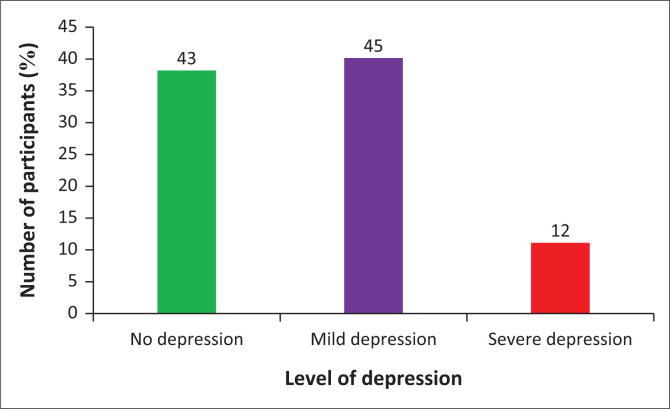 Demographic and clinical correlates of depression among older adults with arthritis in Nigeria.