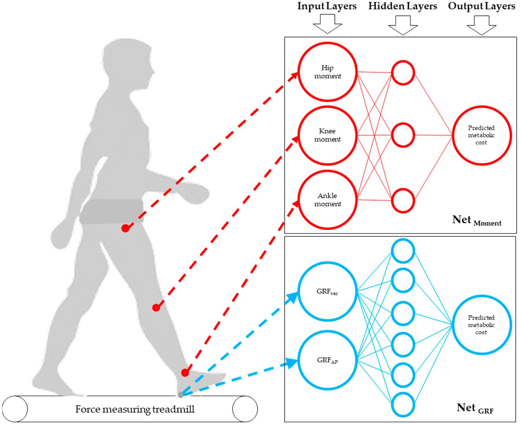 Ground Reaction Forces and Joint Moments Predict Metabolic Cost in Physical Performance: Harnessing the Power of Artificial Neural Networks.