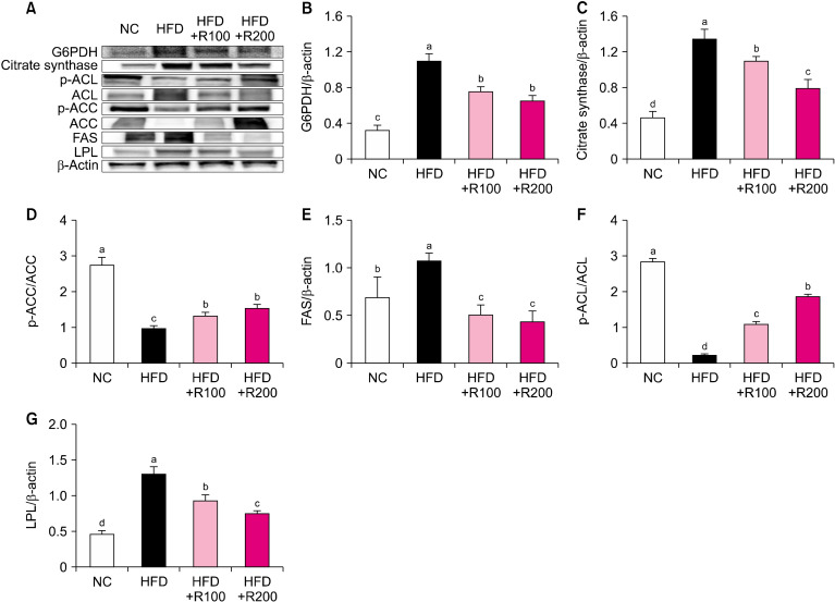 Rose Petal Extract Ameliorates Obesity in High Fat Diet-Induced Obese Mice.