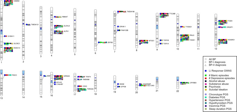 Exploring the genetics of lithium response in bipolar disorders.