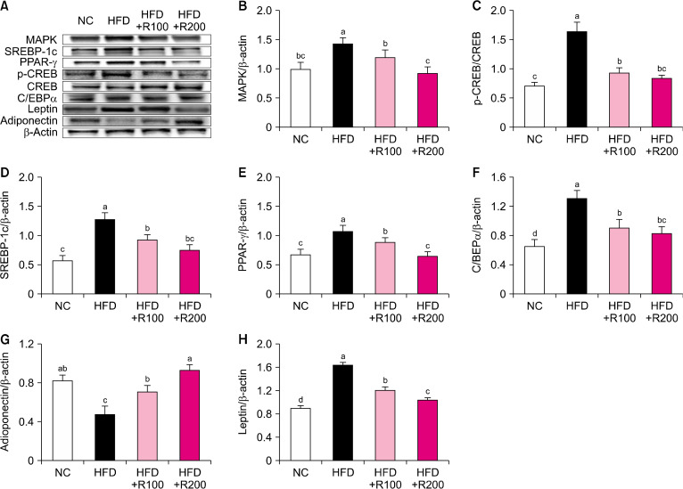 Rose Petal Extract Ameliorates Obesity in High Fat Diet-Induced Obese Mice.