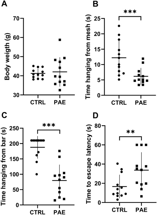 Exercise reduces physical alterations in a rat model of fetal alcohol spectrum disorders.