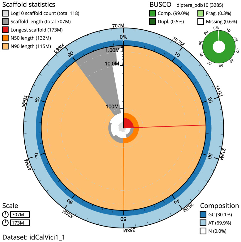 The genome sequence of a bluebottle fly, <i>Calliphora vicina</i> Robineau-Desvoidy, 1830.
