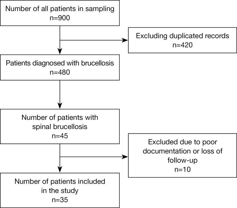 Analysis of antibiotic regimens and outcomes in spinal brucellosis: insights from a retrospective cohort study in Makkah, Saudi Arabia.