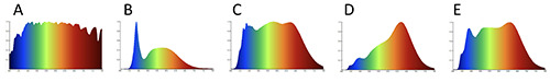 Effects of artificial light with different spectral compositions on refractive development and matrix metalloproteinase 2 and tissue inhibitor of metalloproteinases 2 expression in the sclerae of juvenile guinea pigs.