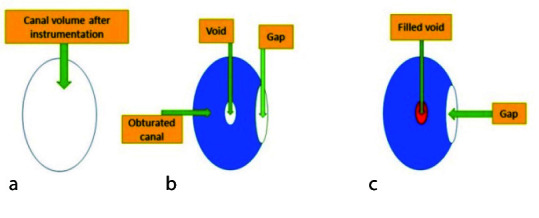 Quality of Root Canal Filling in Curved Canals Utilizing Warm Vertical Compaction and Two Different Single Cone Techniques: A Three-Dimensional Micro-Computed Tomography Study.