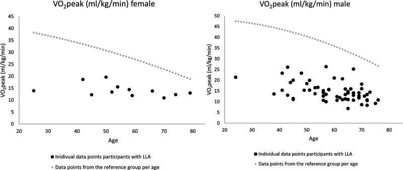Cardiorespiratory fitness in persons with lower limb amputation.