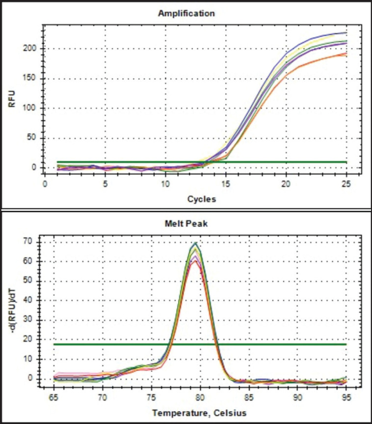 The employment of real-time polymerase chain reaction for analysis of canine meat in meatball products for halal authentication analysis.