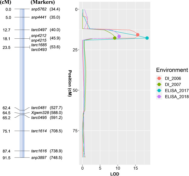 Identification of a major QTL conferring resistance to <i>wheat yellow mosaic virus</i> derived from the winter wheat 'Hokkai 240' on chromosome 2AS.