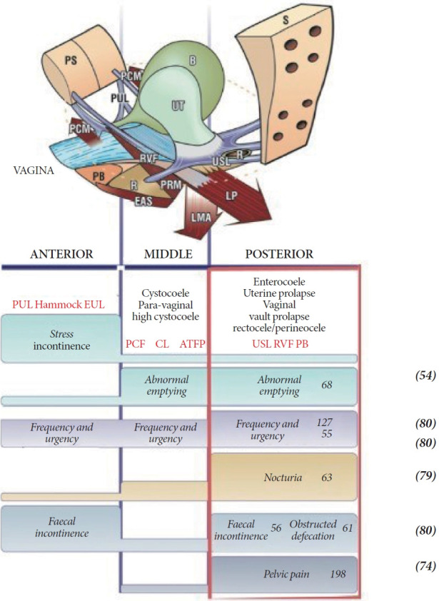 A Critical Examination of Ligamentous Pathogenesis of Bladder Pain/Lower Urinary Tract Symptoms Using the UEDA Criteria.