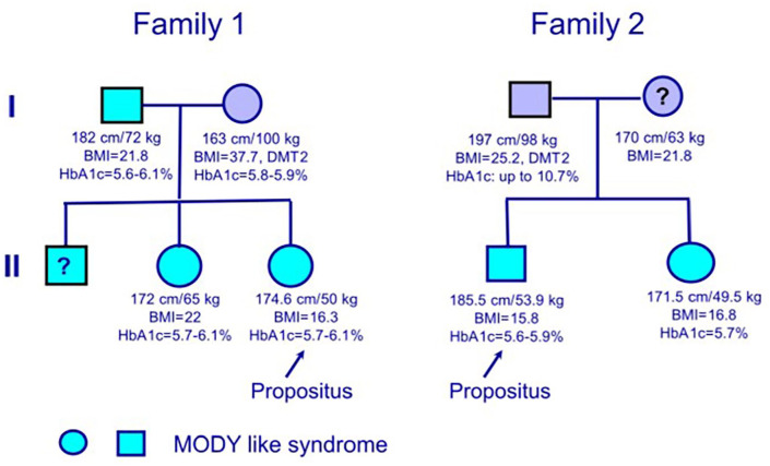 Autosomal Dominant, Long-Standing Dysglycemia in 2 Families with Unique Phenotypic Features.