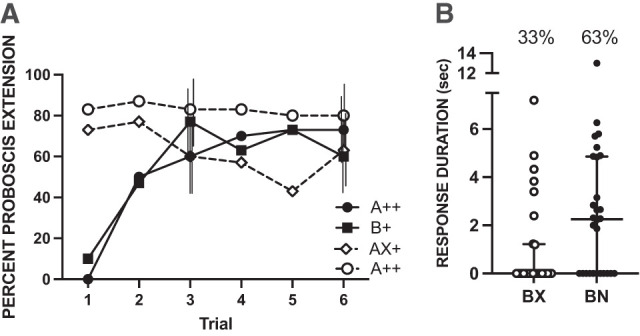 Reinforcement expectation in the honeybee (<i>Apis mellifera</i>): Can downshifts in reinforcement show conditioned inhibition?