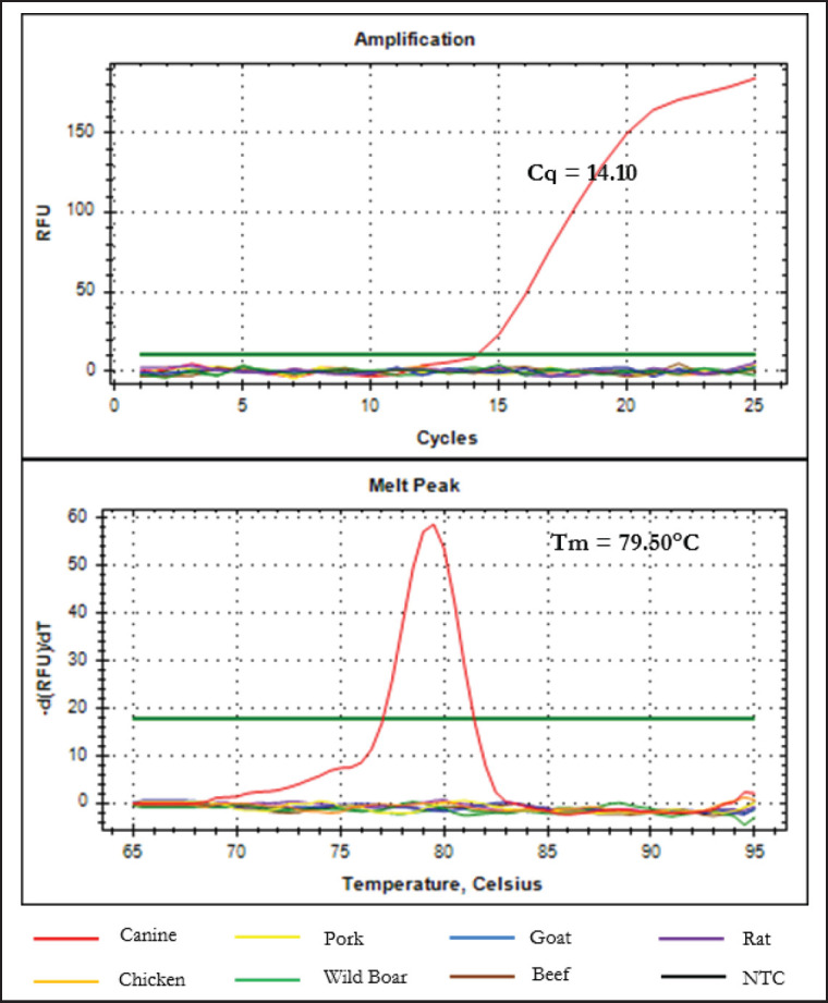 The employment of real-time polymerase chain reaction for analysis of canine meat in meatball products for halal authentication analysis.