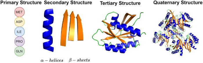 Abstract Image