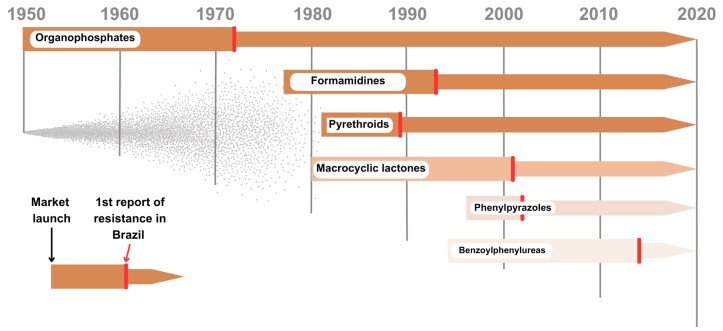 Brazil's battle against Rhipicephalus (Boophilus) microplus ticks: current strategies and future directions.