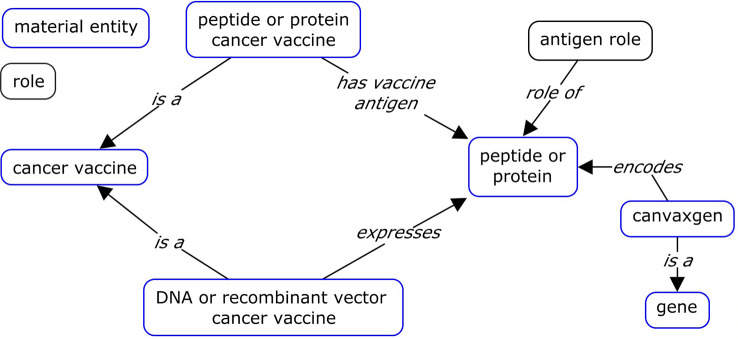 Empowering standardization of cancer vaccines through ontology: enhanced modeling and data analysis.