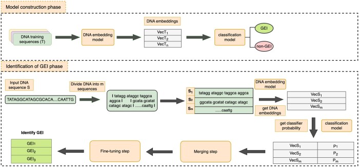 Discovering genomic islands in unannotated bacterial genomes using sequence embedding.