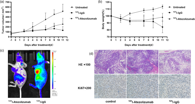 Comparison of Tumor Non-specific and PD-L1 Specific Imaging by Near-Infrared Fluorescence/Cerenkov Luminescence Dual-Modality In-situ Imaging.