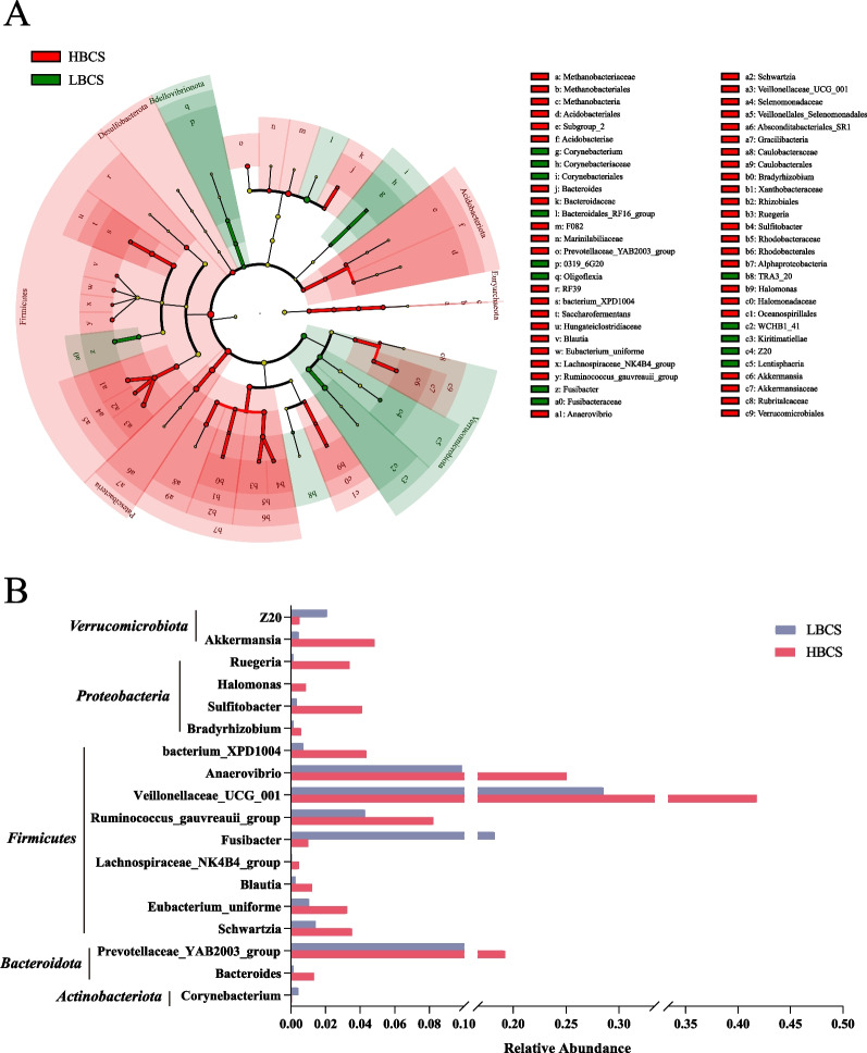 Analysis of differences in the rumen microbiome and metabolic function in prepartum dairy cows with different body condition scores.