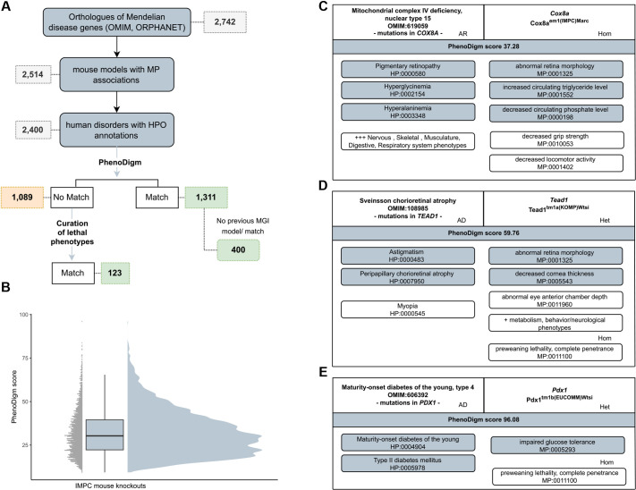 Computational identification of disease models through cross-species phenotype comparison.