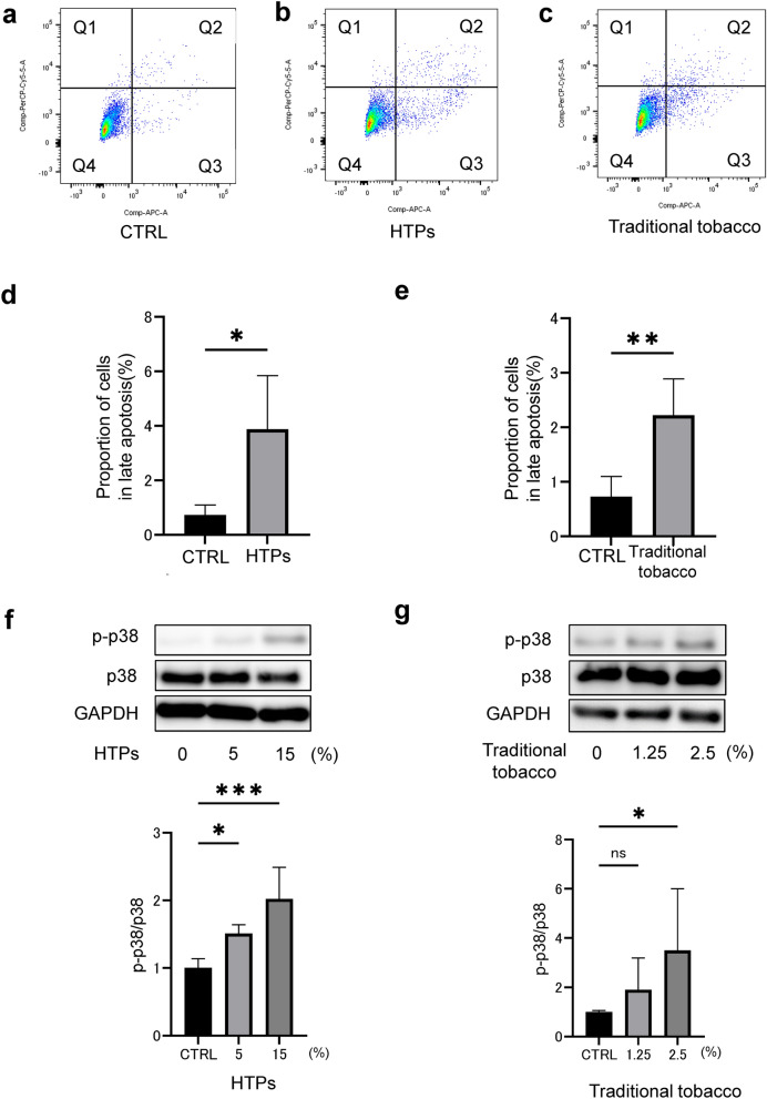 Cytotoxic effects of the cigarette smoke extract of heated tobacco products on human oral squamous cell carcinoma: the role of reactive oxygen species and CaMKK2.