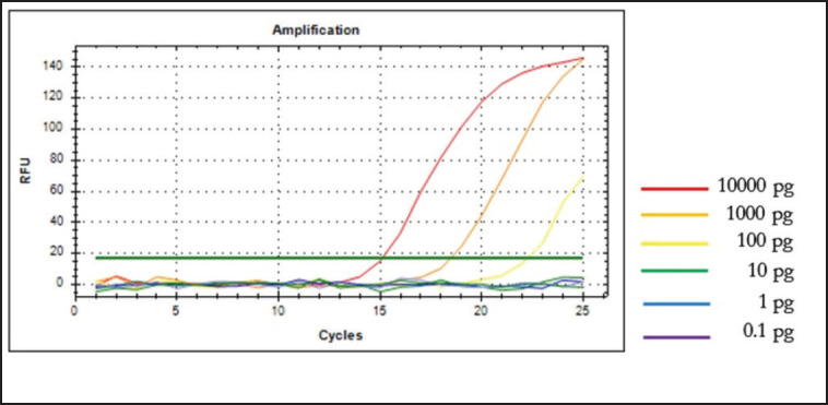 The employment of real-time polymerase chain reaction for analysis of canine meat in meatball products for halal authentication analysis.