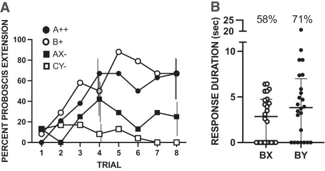 Reinforcement expectation in the honeybee (<i>Apis mellifera</i>): Can downshifts in reinforcement show conditioned inhibition?